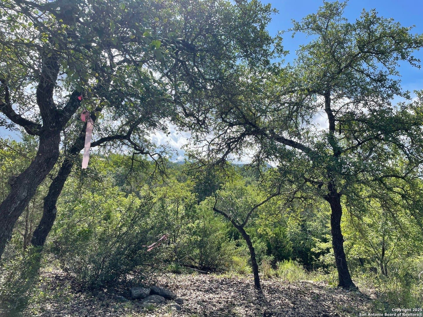 0.57 acres in Comal County - photo 21