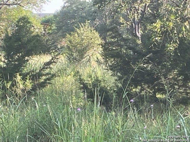 0.57 acres in Comal County - photo 7
