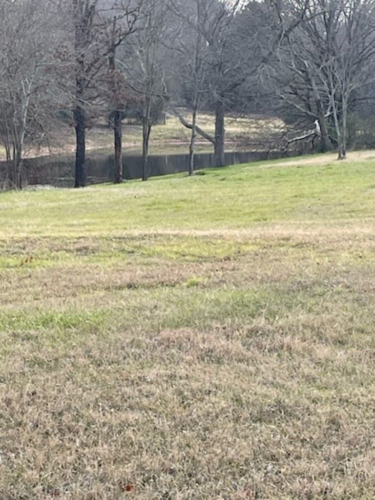 2.5 acres in HENDERSON County - photo 8