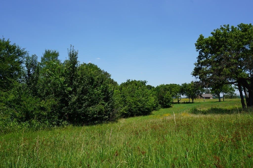 2.5 acres in HENDERSON County - photo 20