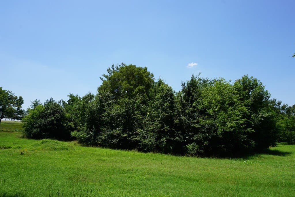 2.5 acres in HENDERSON County - photo 14