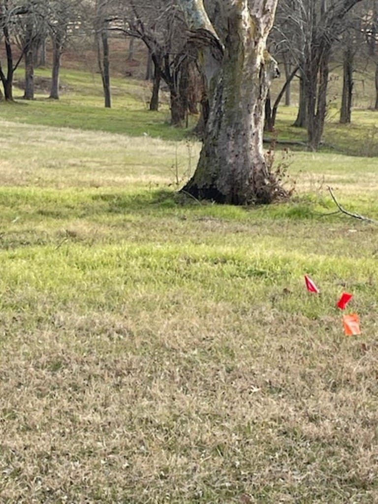 2.5 acres in HENDERSON County - photo 4