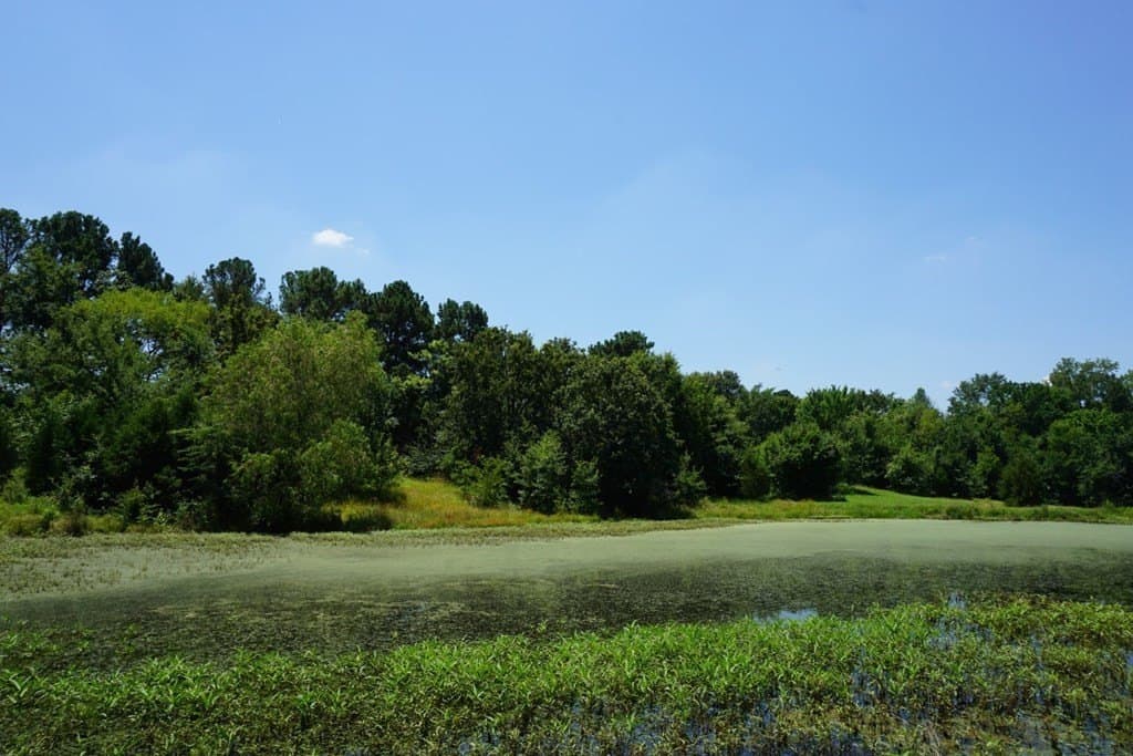 2.5 acres in HENDERSON County - photo 15