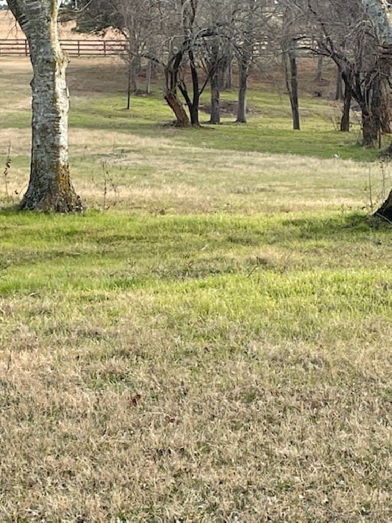 2.5 acres in HENDERSON County - photo 2