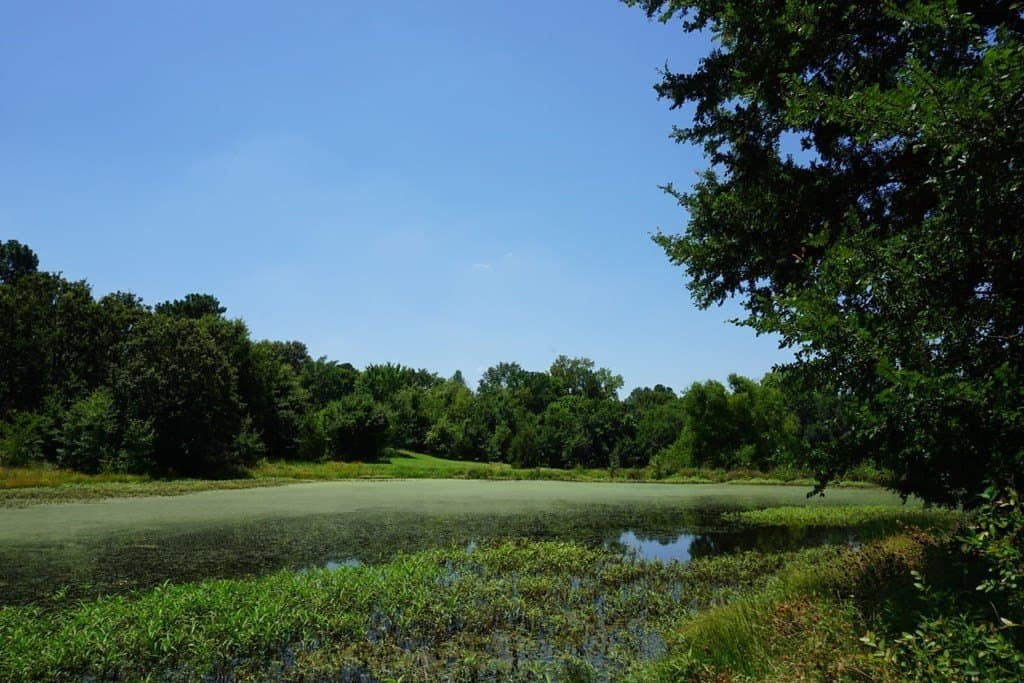 2.5 acres in HENDERSON County - photo 9