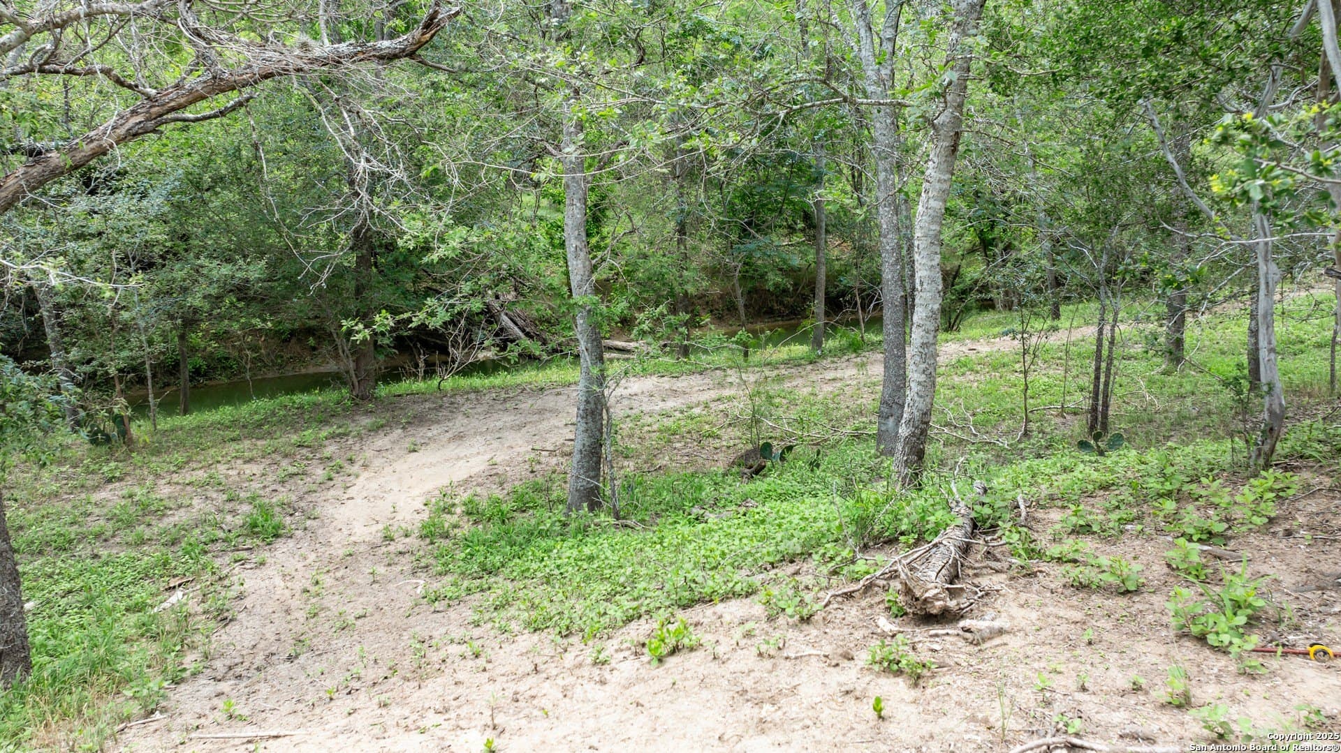 14.23 acres in Wilson County - photo 5