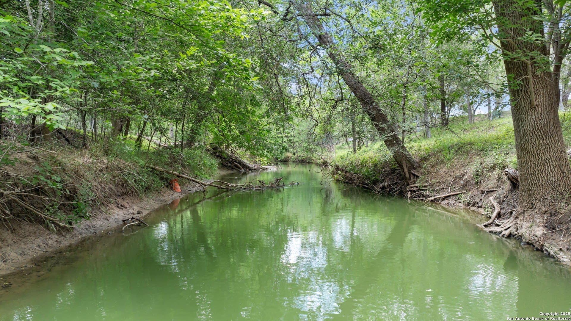 14.23 acres in Wilson County - photo 2