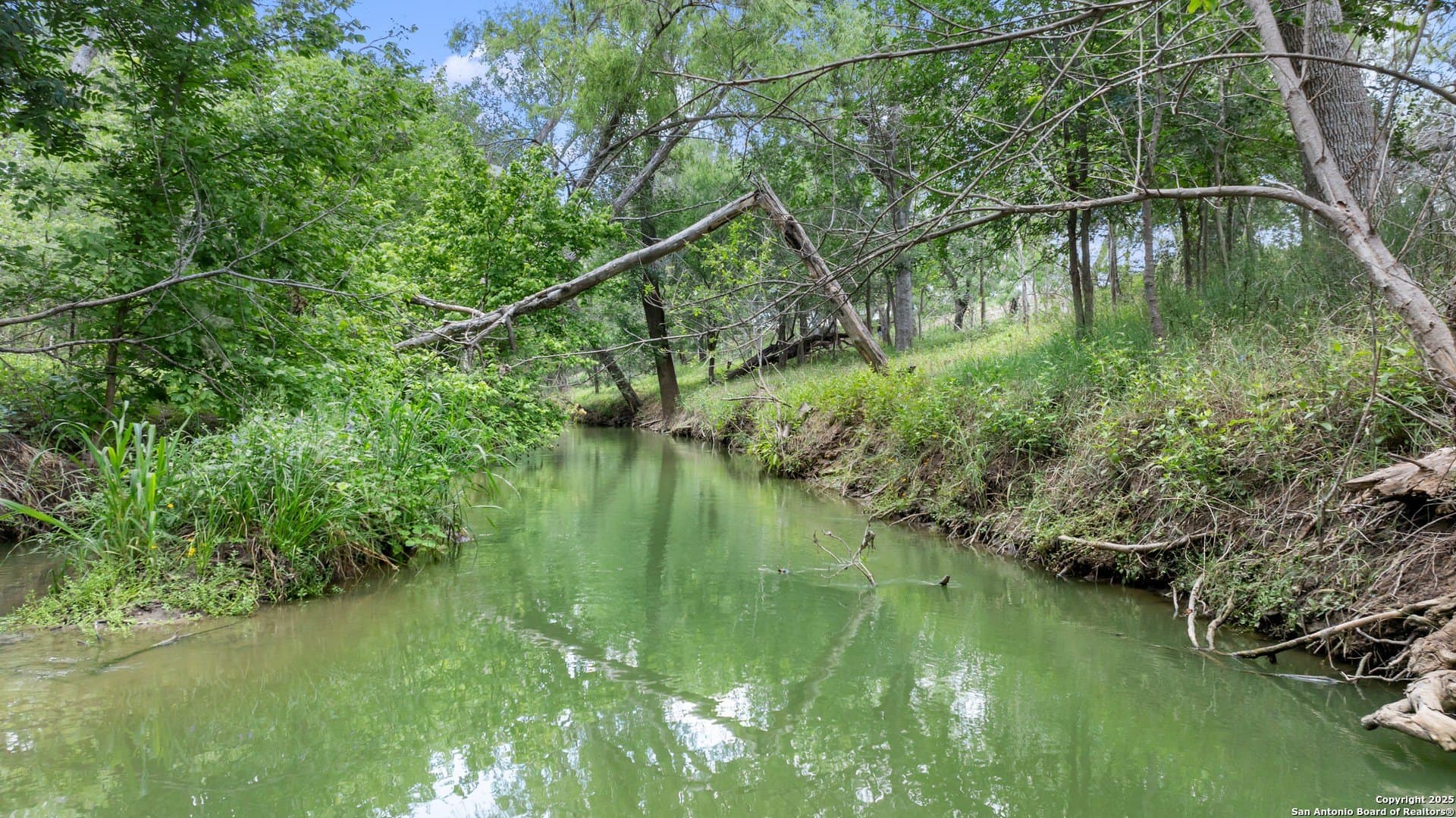 14.23 acres in Wilson County - photo 3