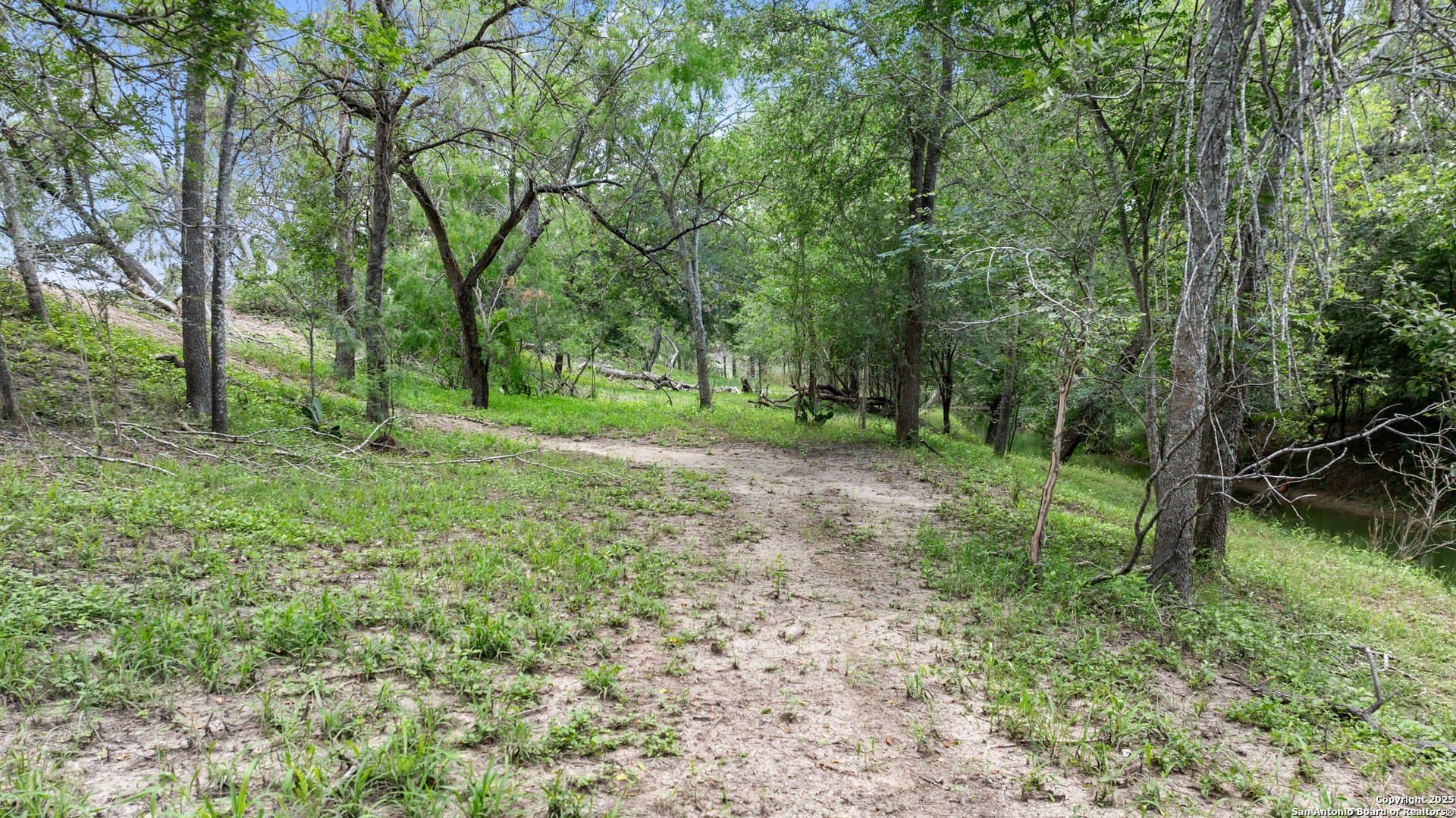 14.23 acres in Wilson County - photo 4