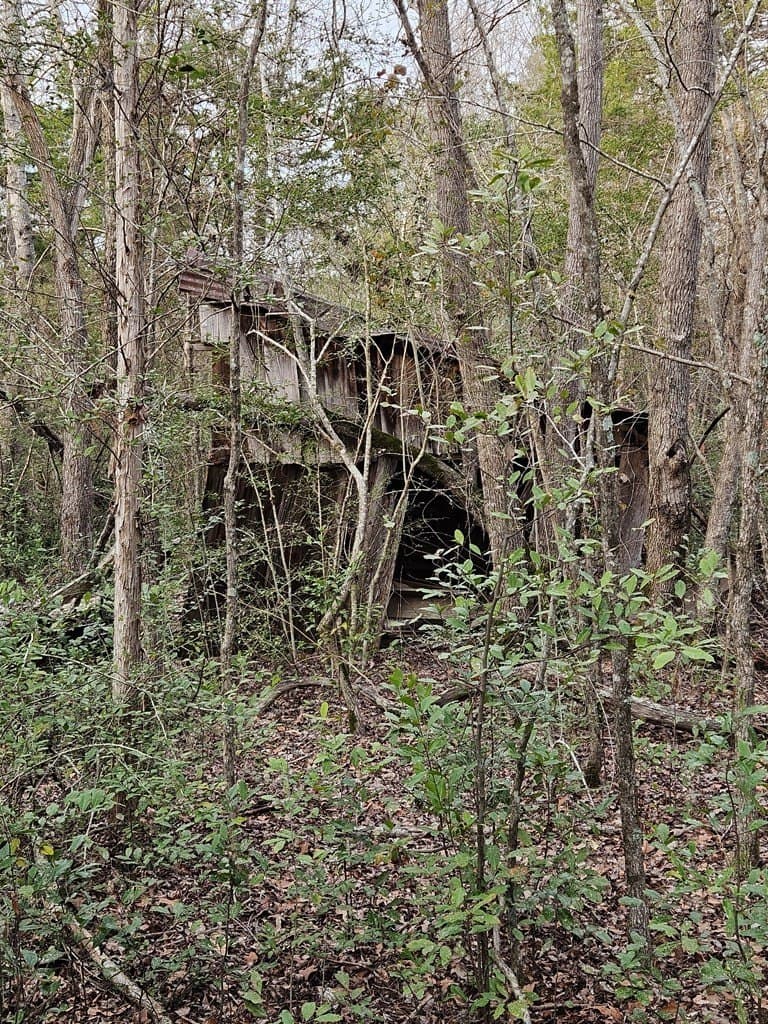 59.56 acres in Henderson County - photo 38