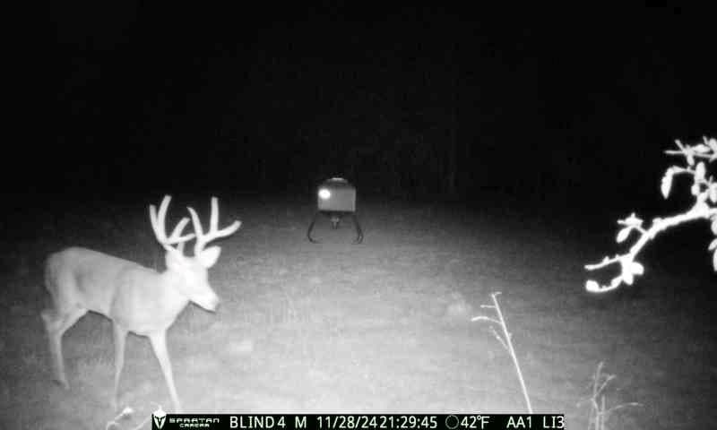 59.56 acres in Henderson County - photo 33