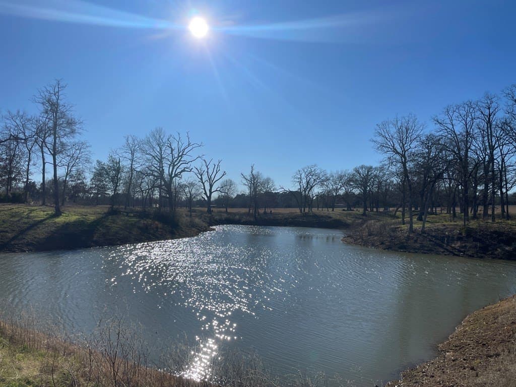 59.56 acres in Henderson County - photo 15
