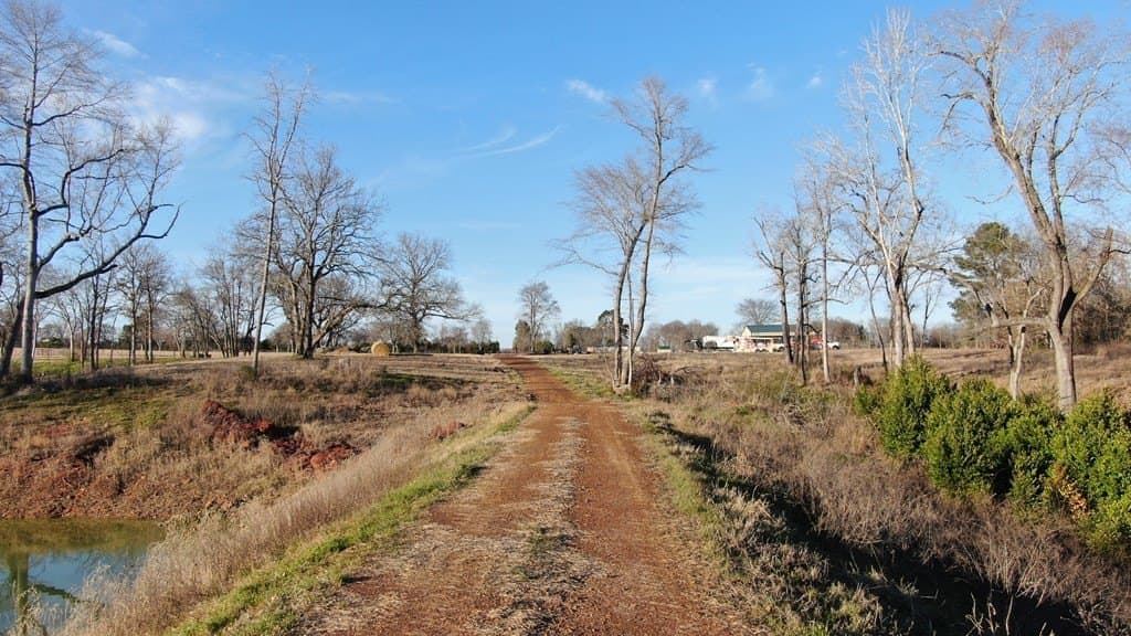 59.56 acres in Henderson County - photo 21