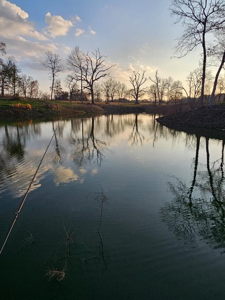 59.56 acres in Henderson County - photo 19