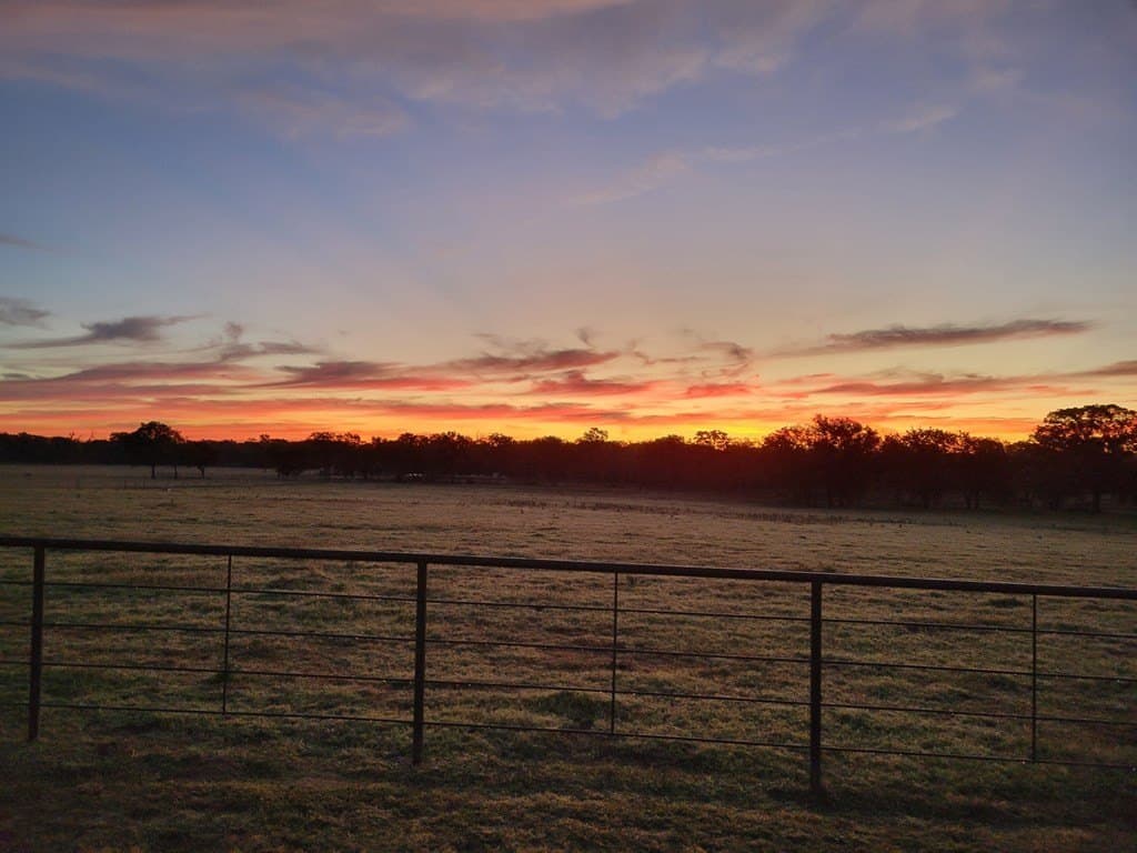 59.56 acres in Henderson County - photo 9