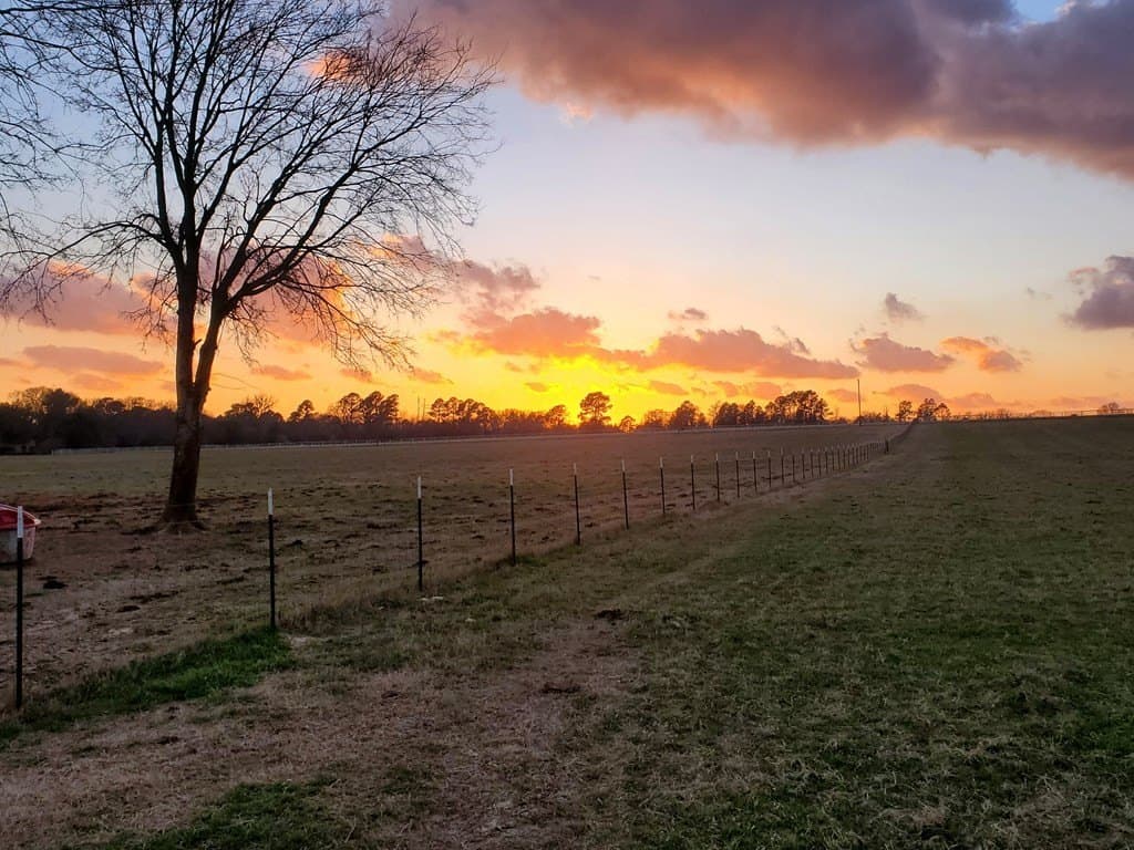 59.56 acres in Henderson County - photo 8