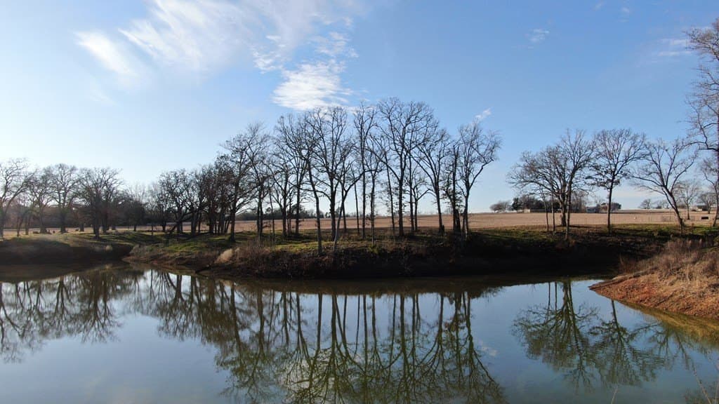59.56 acres in Henderson County - photo 20