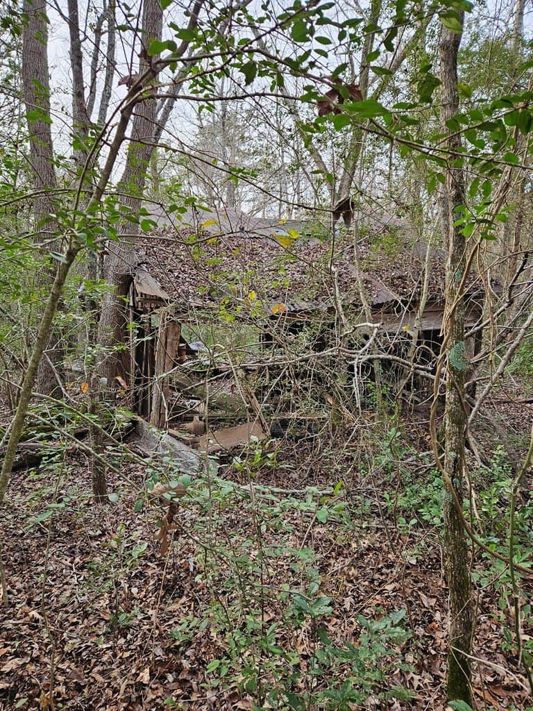 59.56 acres in Henderson County - photo 36