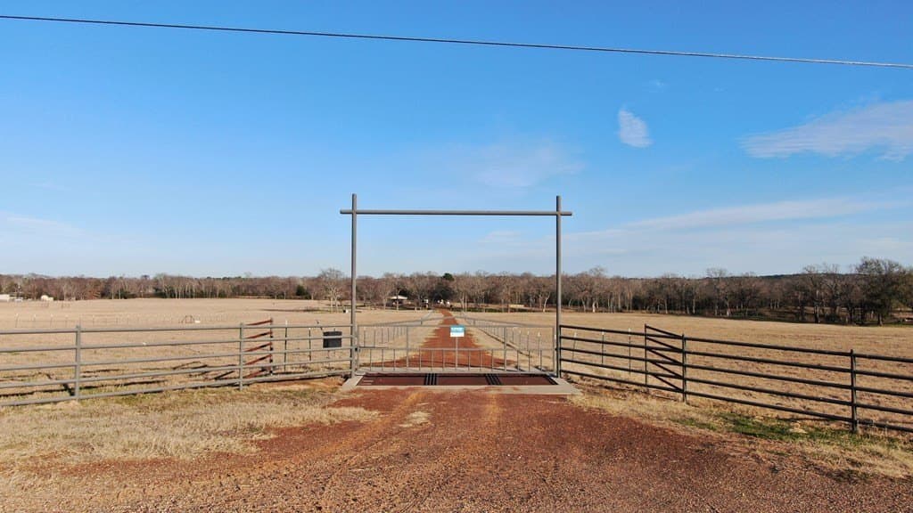 59.56 acres in Henderson County - photo 4