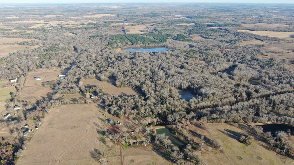 59.56 acres in Henderson County - photo 32