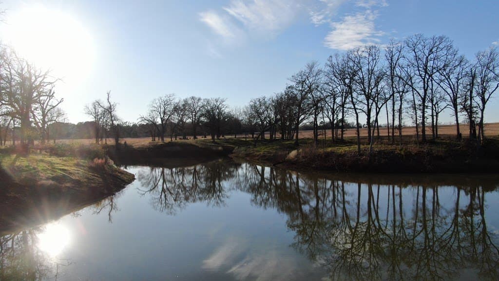 59.56 acres in Henderson County - photo 18