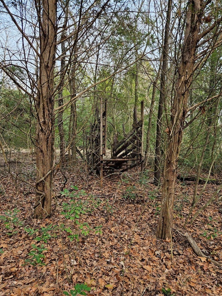 59.56 acres in Henderson County - photo 37
