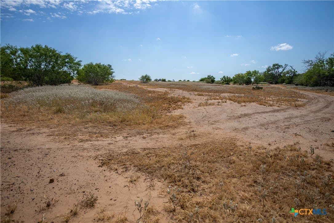 26.65 acres in Atascosa County - photo 26