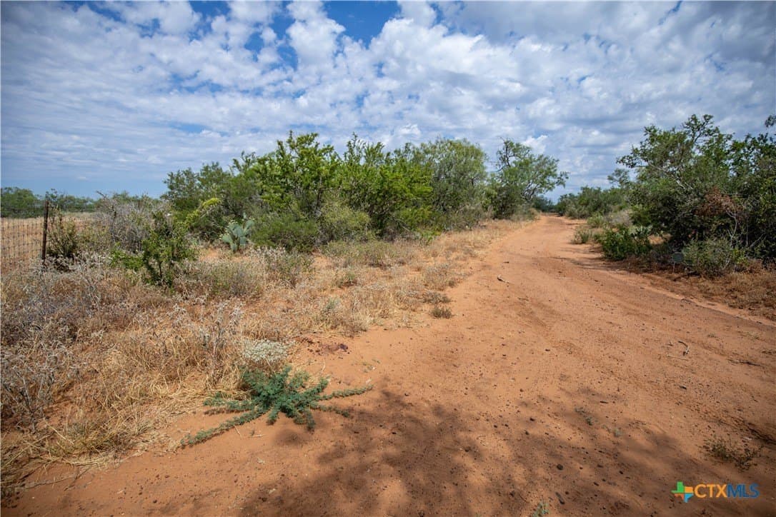 26.65 acres in Atascosa County - photo 40