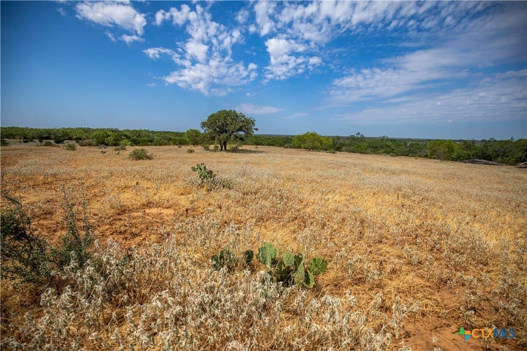 26.65 acres in Atascosa County - photo 16