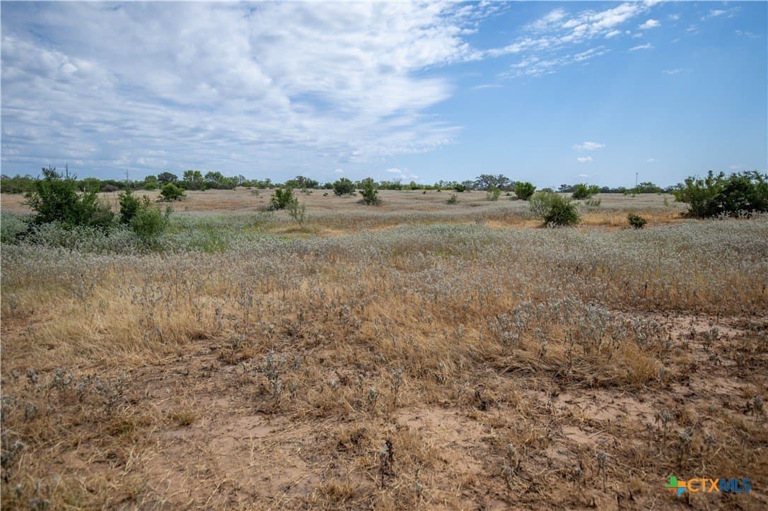 26.65 acres in Atascosa County - photo 29