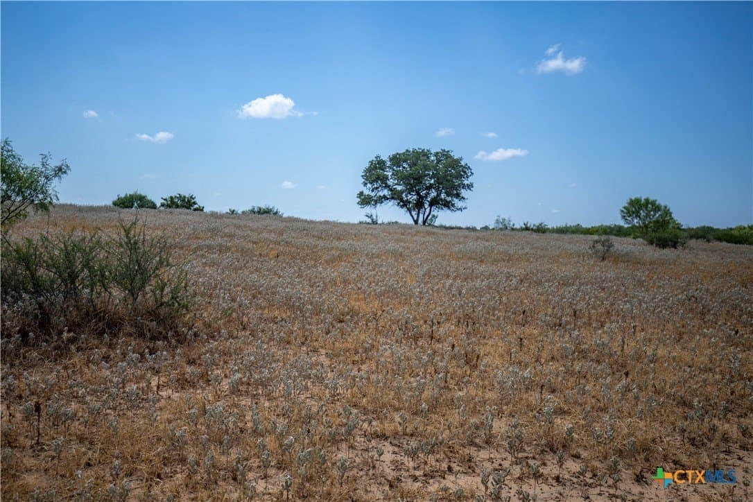 26.65 acres in Atascosa County - photo 20