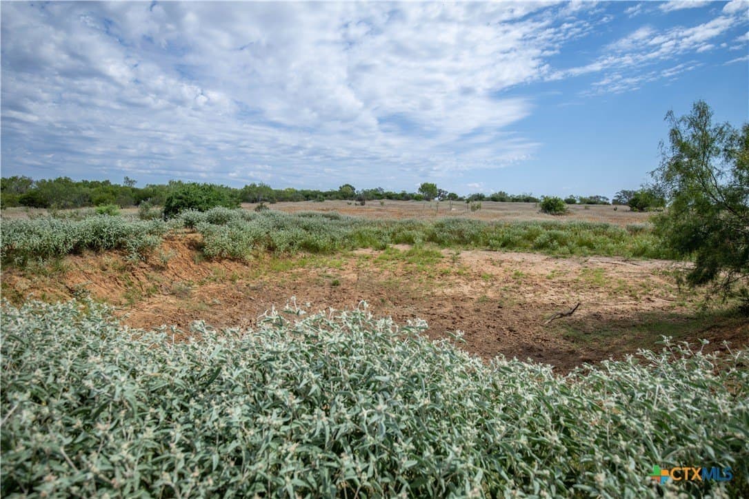 26.65 acres in Atascosa County - photo 28
