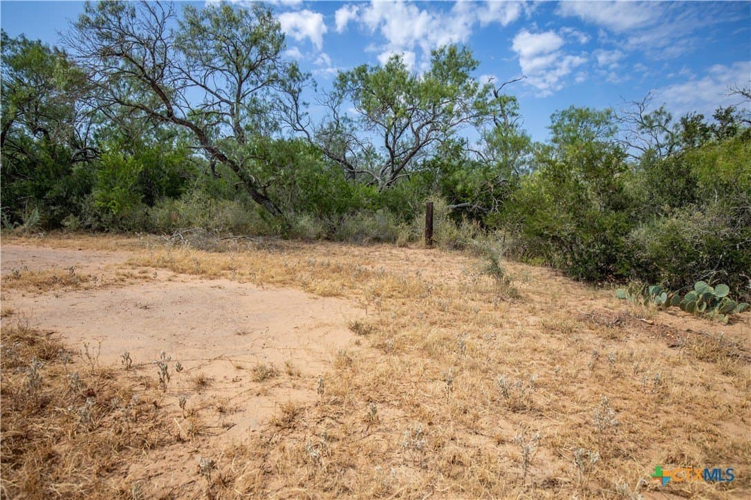 26.65 acres in Atascosa County - photo 27