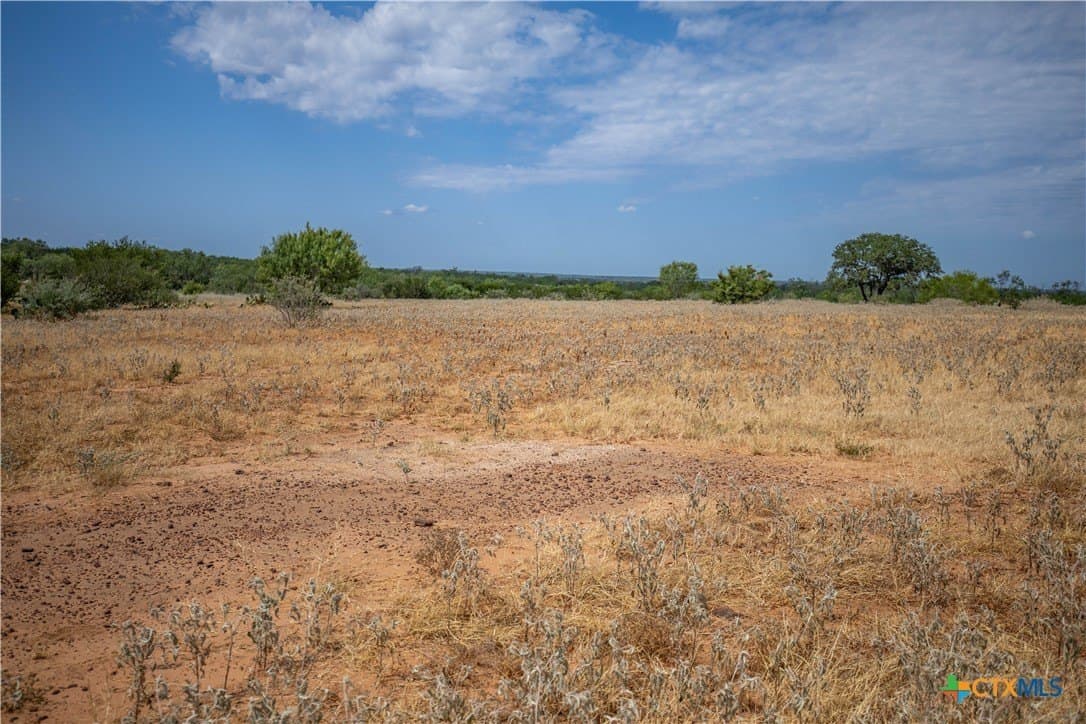26.65 acres in Atascosa County - photo 39
