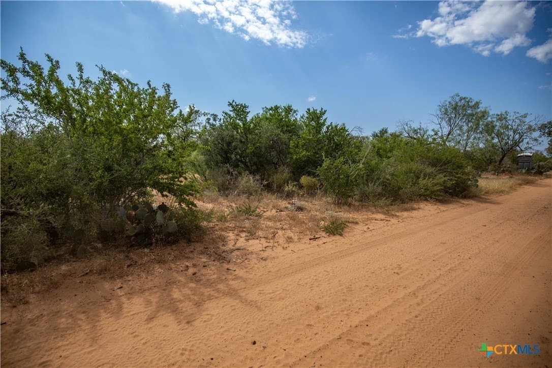 26.65 acres in Atascosa County - photo 13