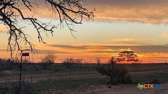 26.65 acres in Atascosa County - photo 7