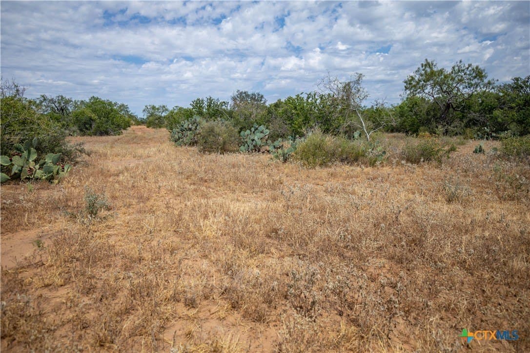 26.65 acres in Atascosa County - photo 44