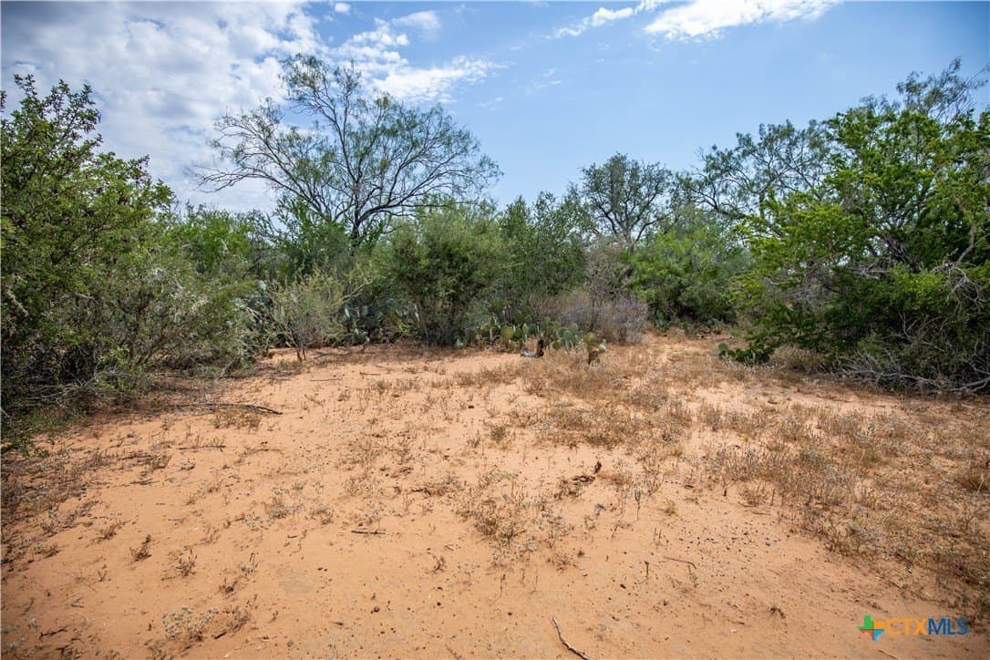 26.65 acres in Atascosa County - photo 41
