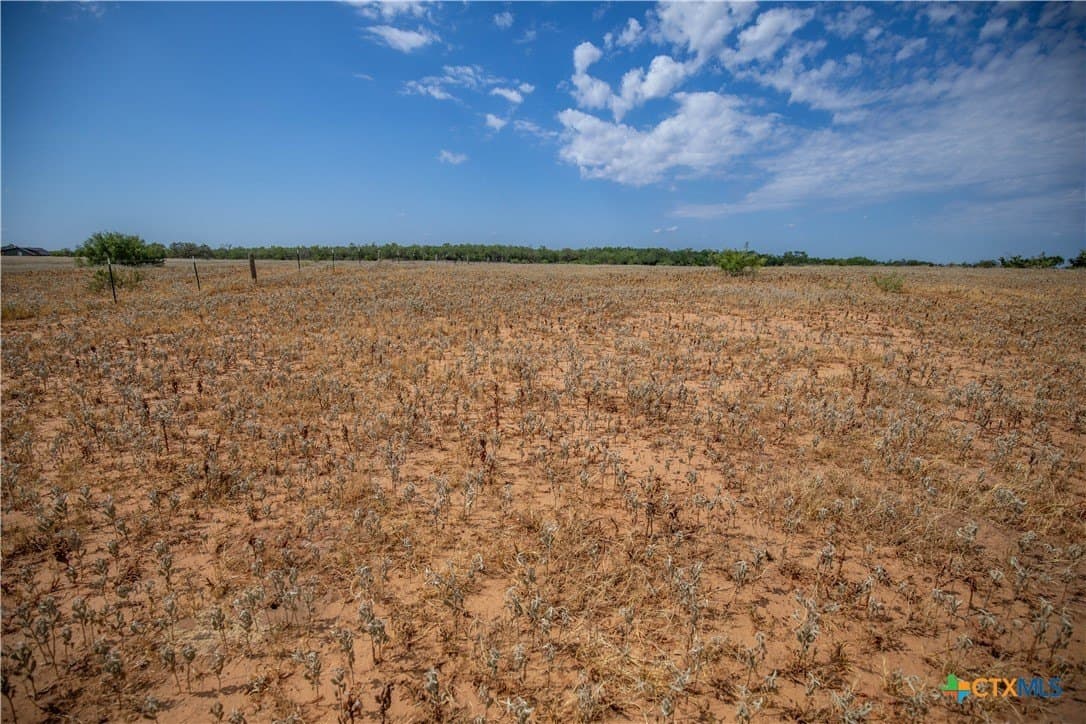 26.65 acres in Atascosa County - photo 38