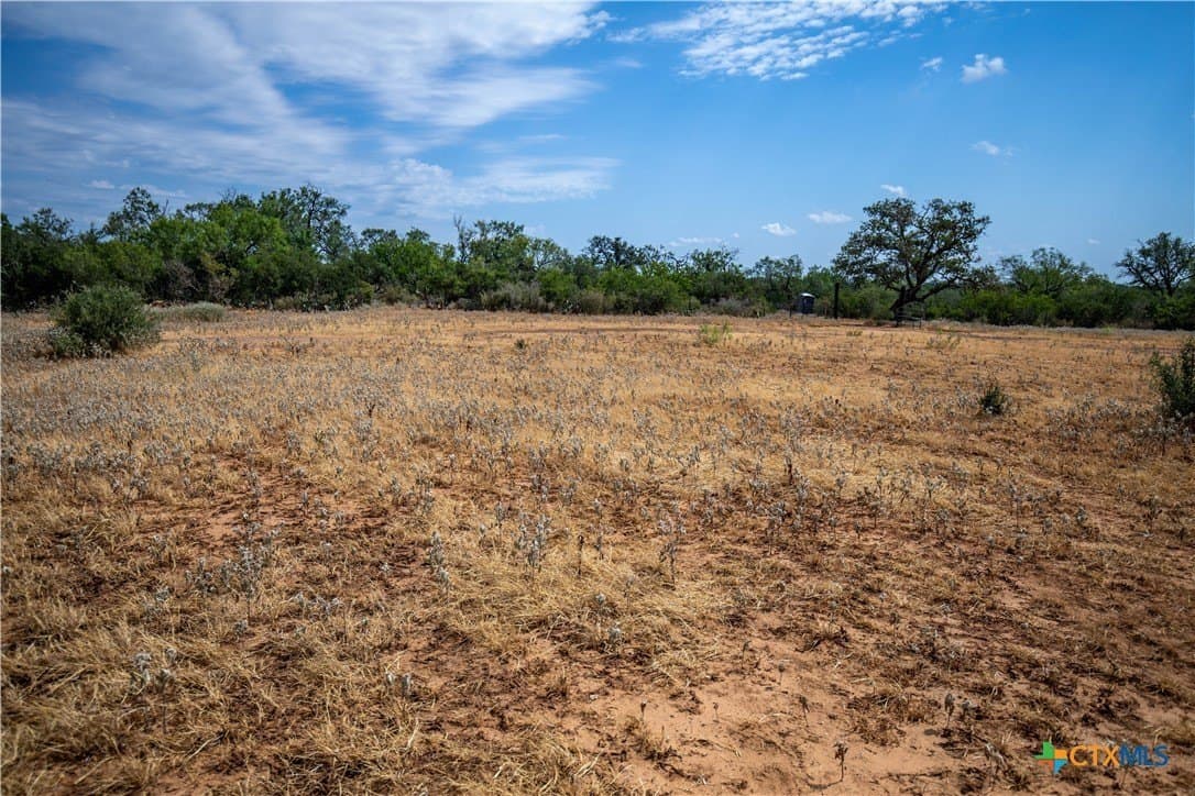 26.65 acres in Atascosa County - photo 18