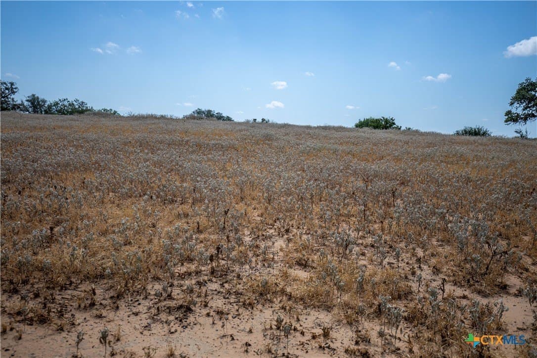 26.65 acres in Atascosa County - photo 21