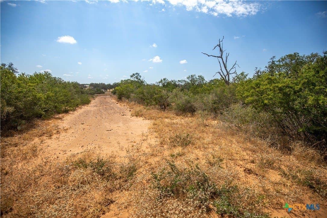 26.65 acres in Atascosa County - photo 12
