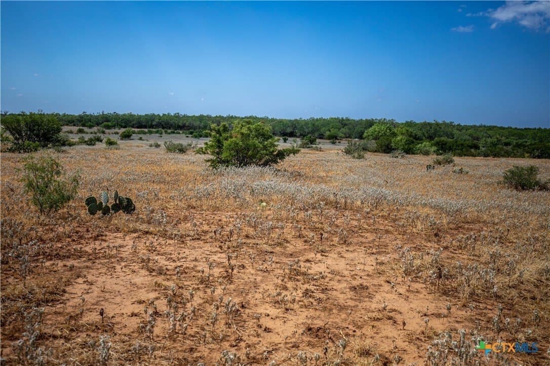 26.65 acres in Atascosa County - photo 19
