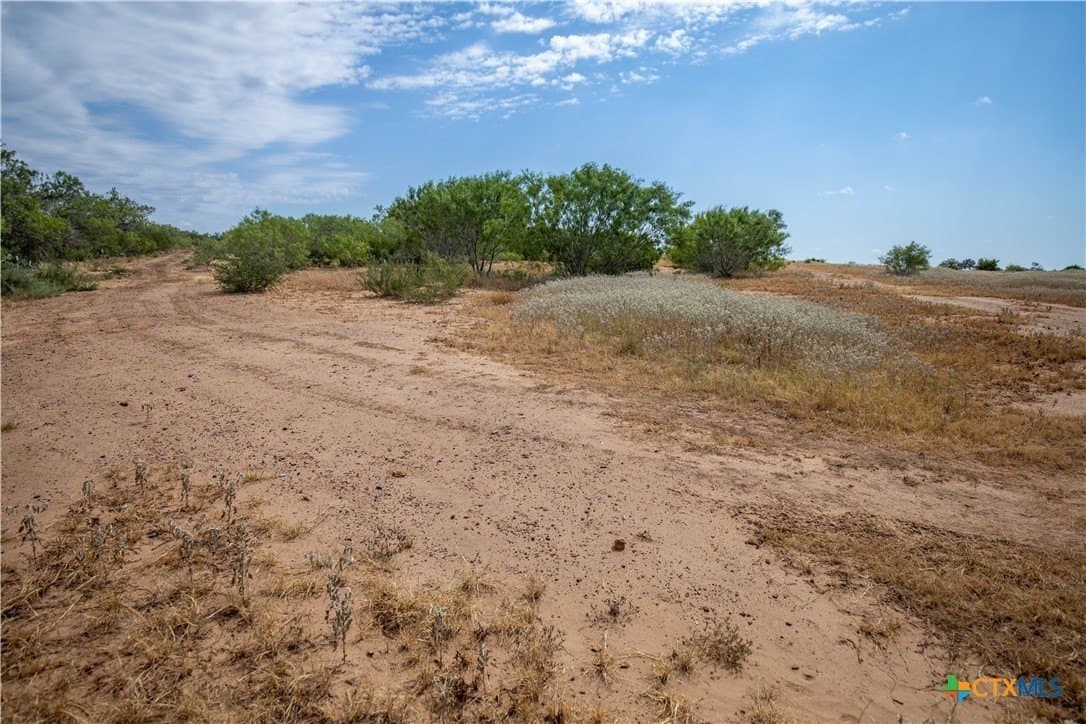 26.65 acres in Atascosa County - photo 25