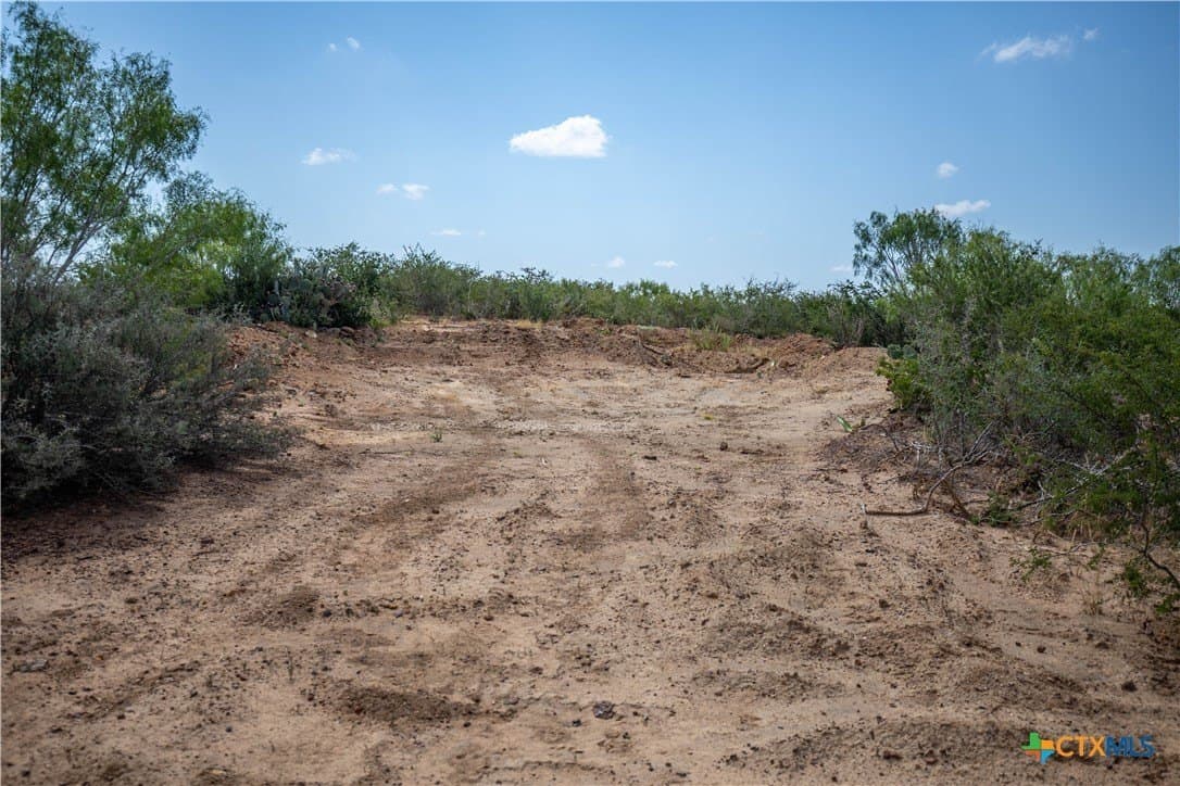 26.65 acres in Atascosa County - photo 23