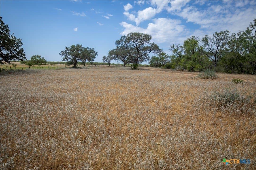 26.65 acres in Atascosa County - photo 43
