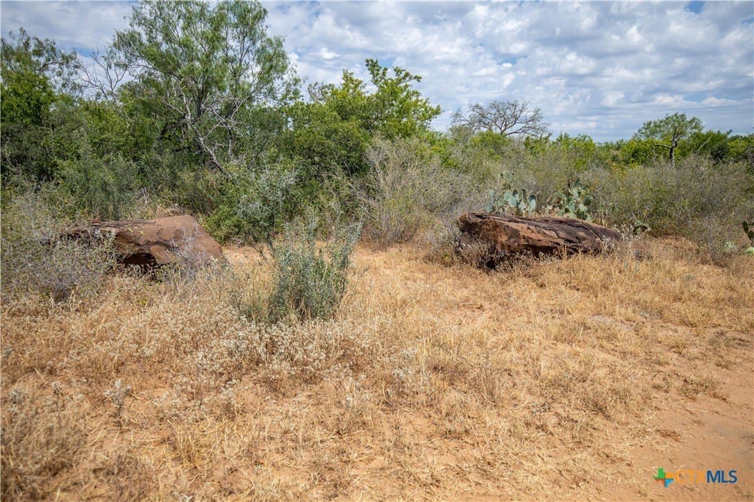 26.65 acres in Atascosa County - photo 45