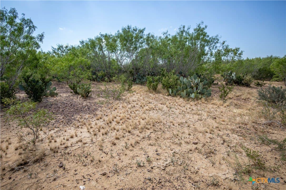 26.65 acres in Atascosa County - photo 24