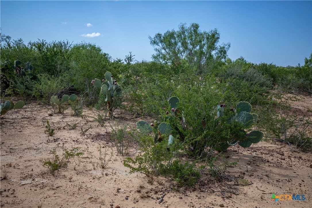 26.65 acres in Atascosa County - photo 22