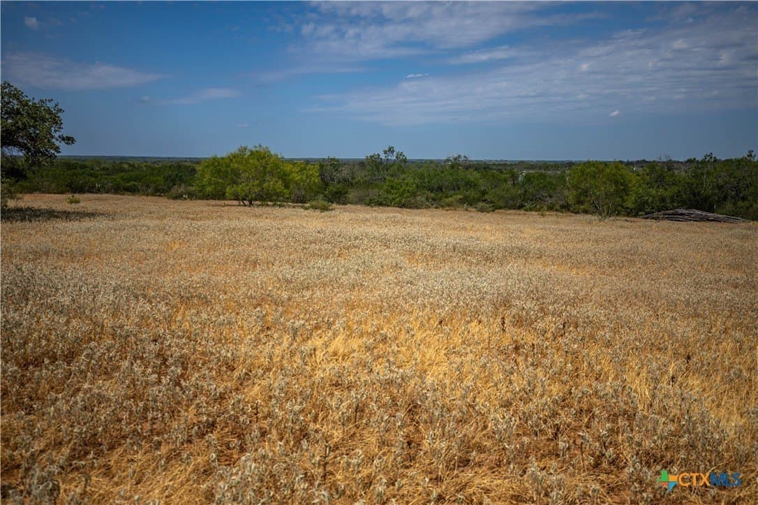 26.65 acres in Atascosa County - photo 17